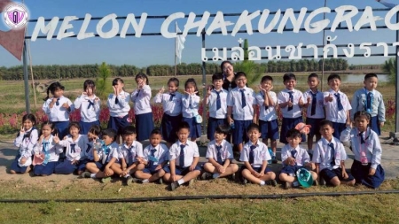 Primary School Grade 1 field trip project